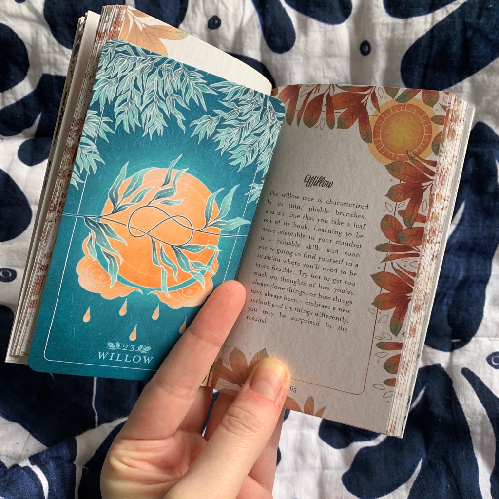 The willow tree is characterized by its thin, pliable branches, and it's time that you take a leaf out of its book. Learning to be more adaptable in your mindset is a valuable skill, and soon you're going to find yourself in a situation where you'll need to be more flexible. Try not to get too stuck on thoughts of how you've always done things, or how things have always been - embrace a new outlook and try things differently, you may be surprised by the results!