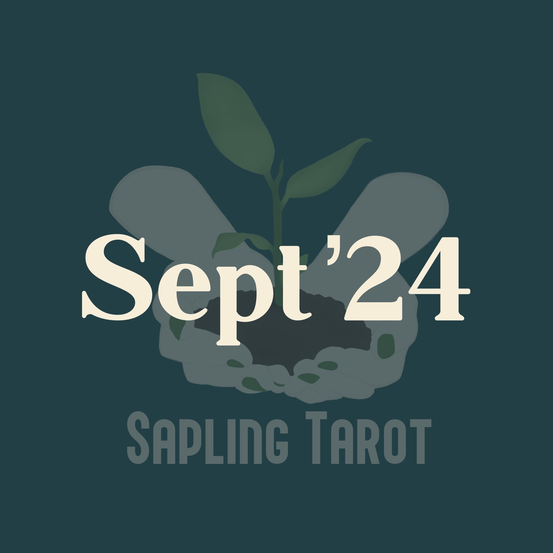 Video Round-Up – September ’24