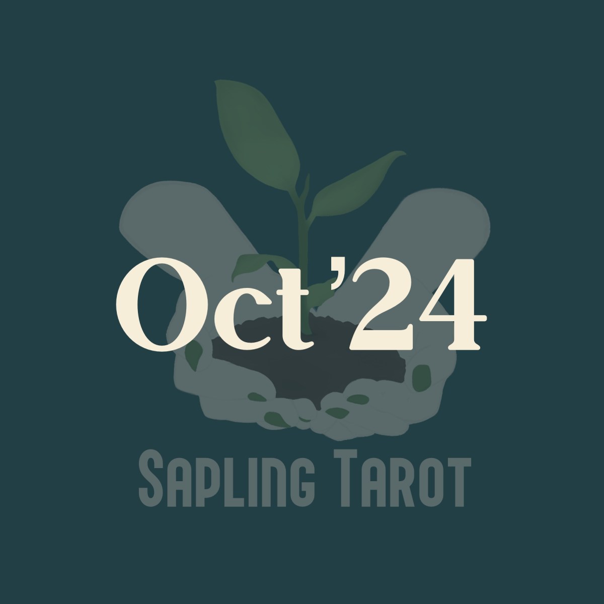 Video Round-Up – October&nbsp;’24