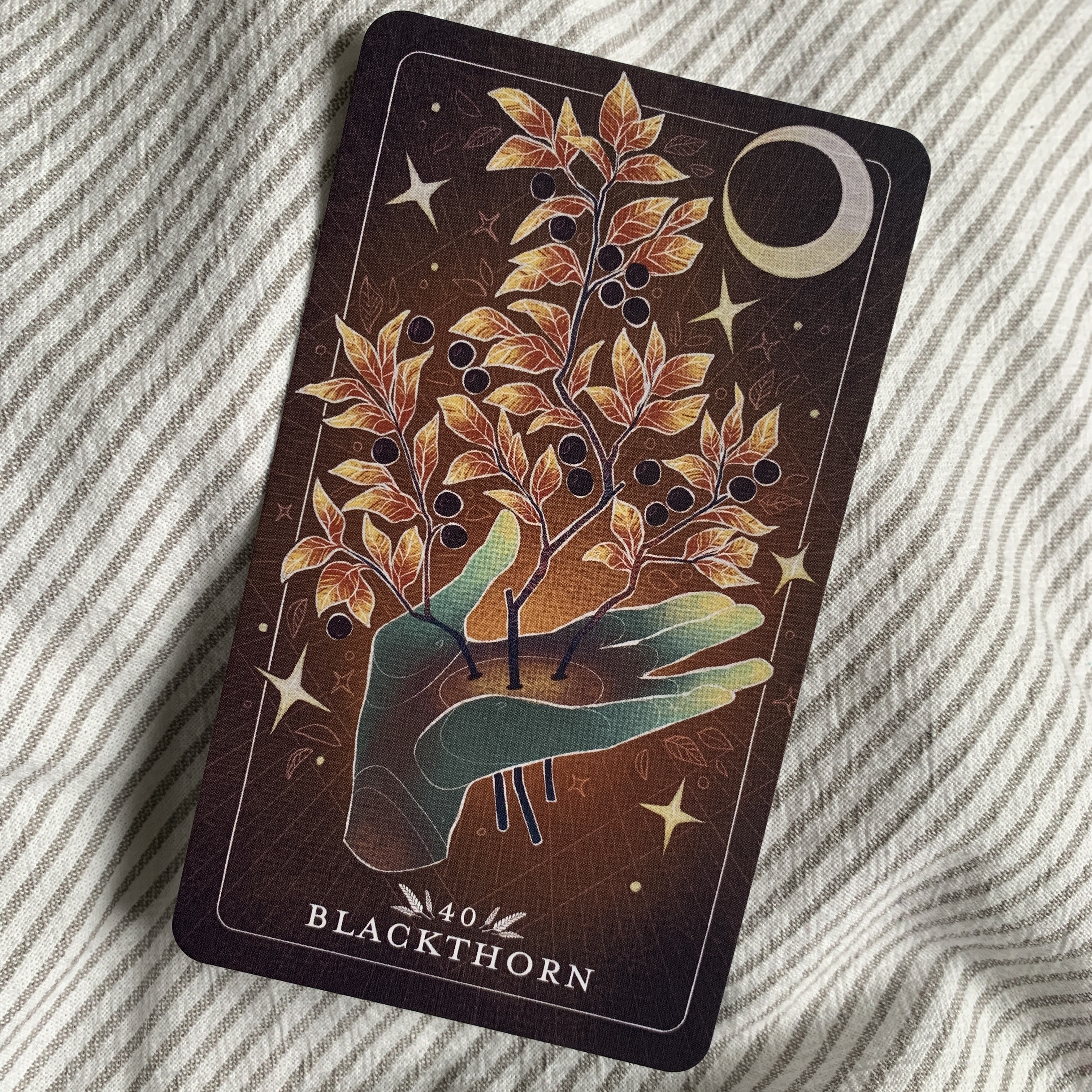 Blackthorn 40 from the Seed and Sickle oracle